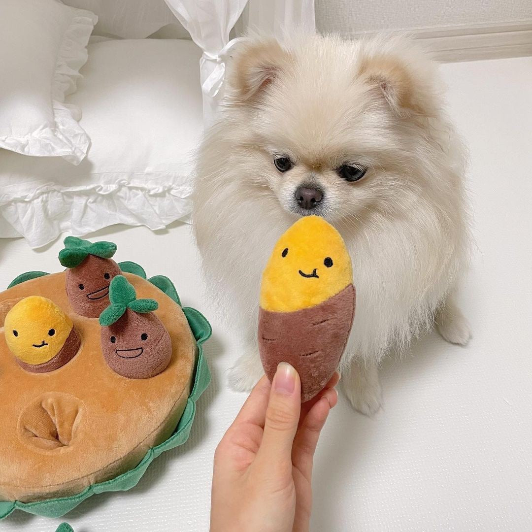 Sweet Potato Plush Toy Set