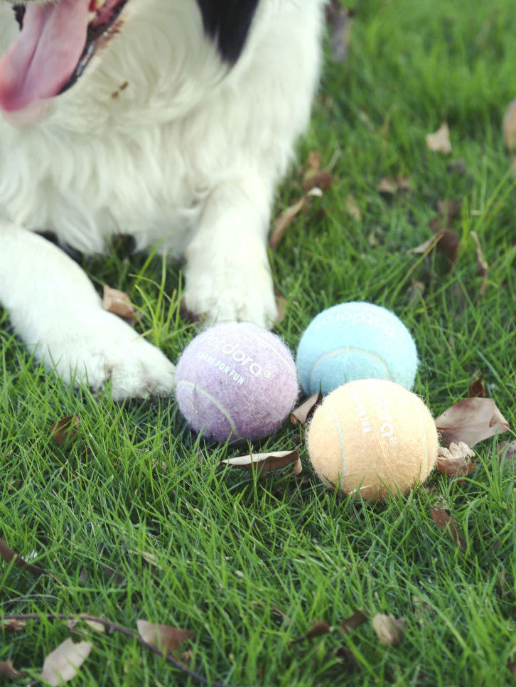 Elastic Dog Tennis Ball