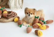 Sweet Potato Plush Toy Set