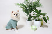 Colourful Dog Jumper