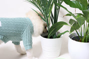 Colourful Dog Jumper