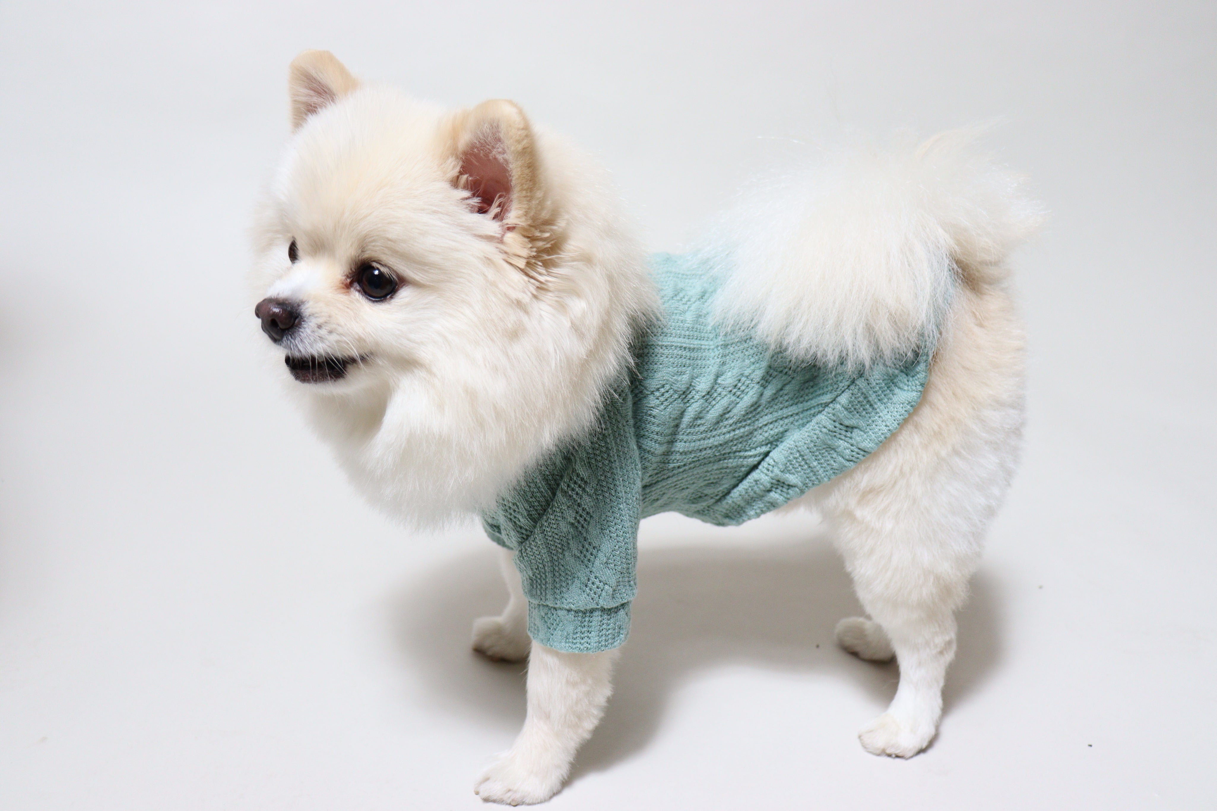 Colourful Dog Jumper