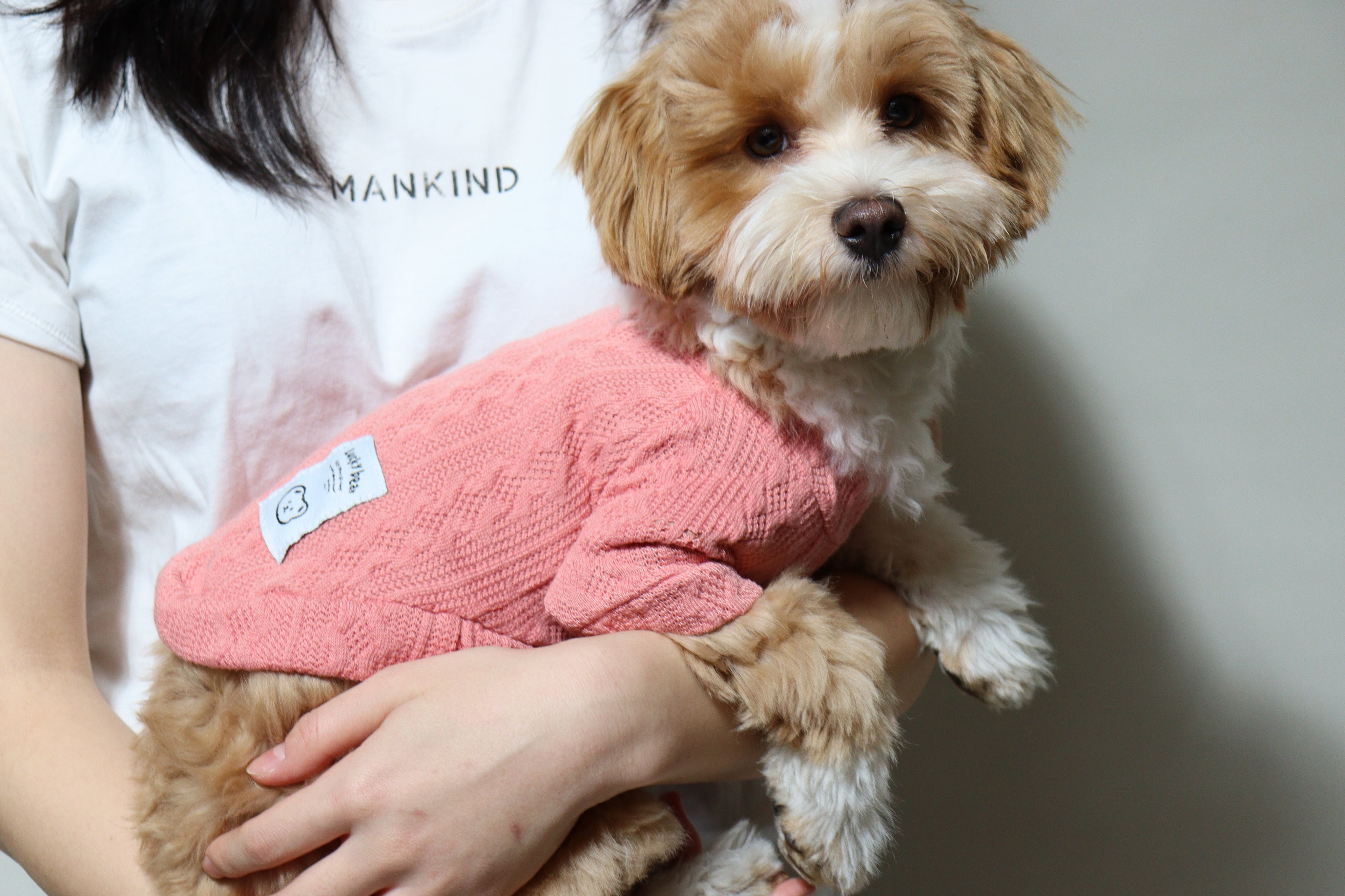 Colourful Dog Jumper