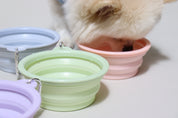 Pastel Travel Bowl