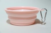 Pastel Travel Bowl