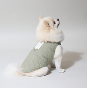 Dog Jumper With Harness