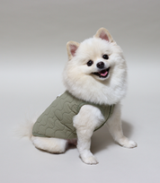 Dog Jumper With Harness