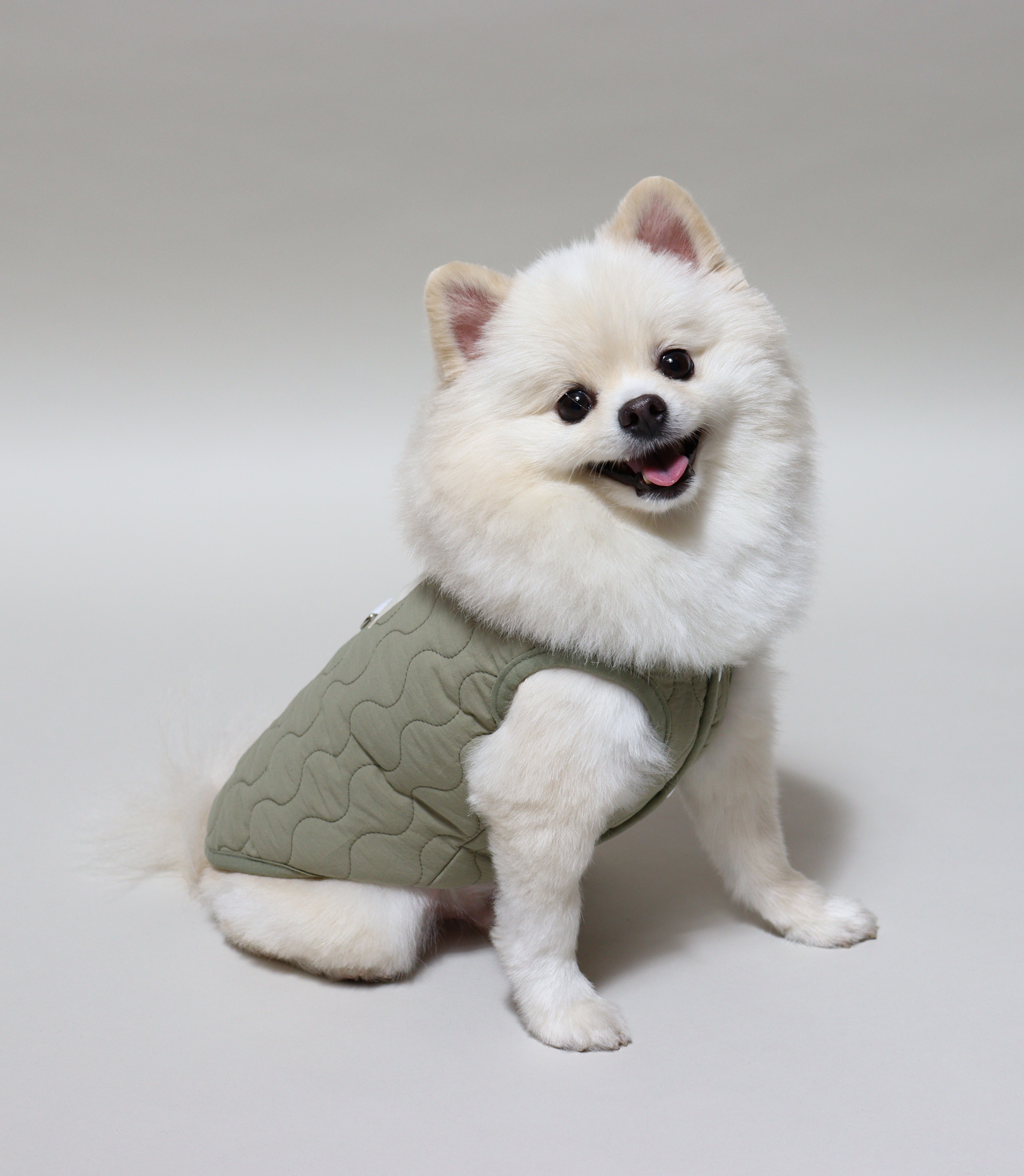 Dog Jumper With Harness