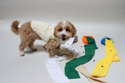 Dog Jumper With Harness