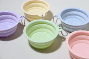 Pastel Travel Bowl