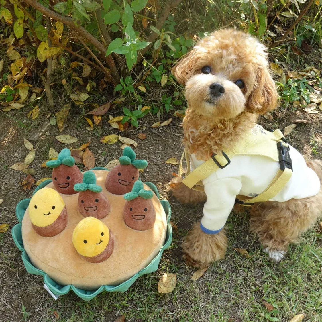 Sweet Potato Plush Toy Set