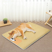 Summer Cooling Dog Mat