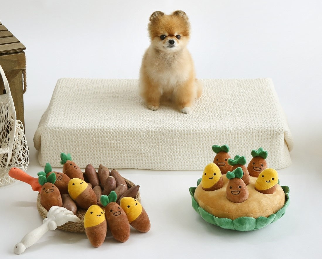 Sweet Potato Plush Toy Set